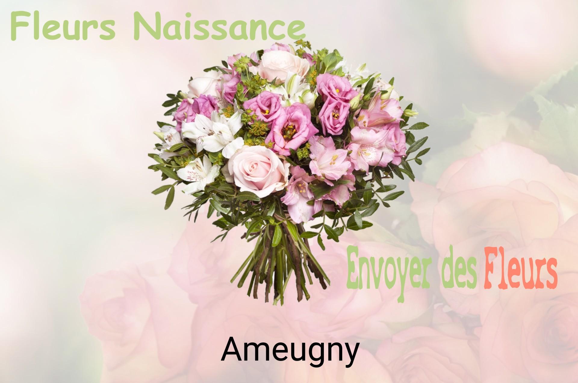 Bouquet de fleurs de naissance livré à Ameugny